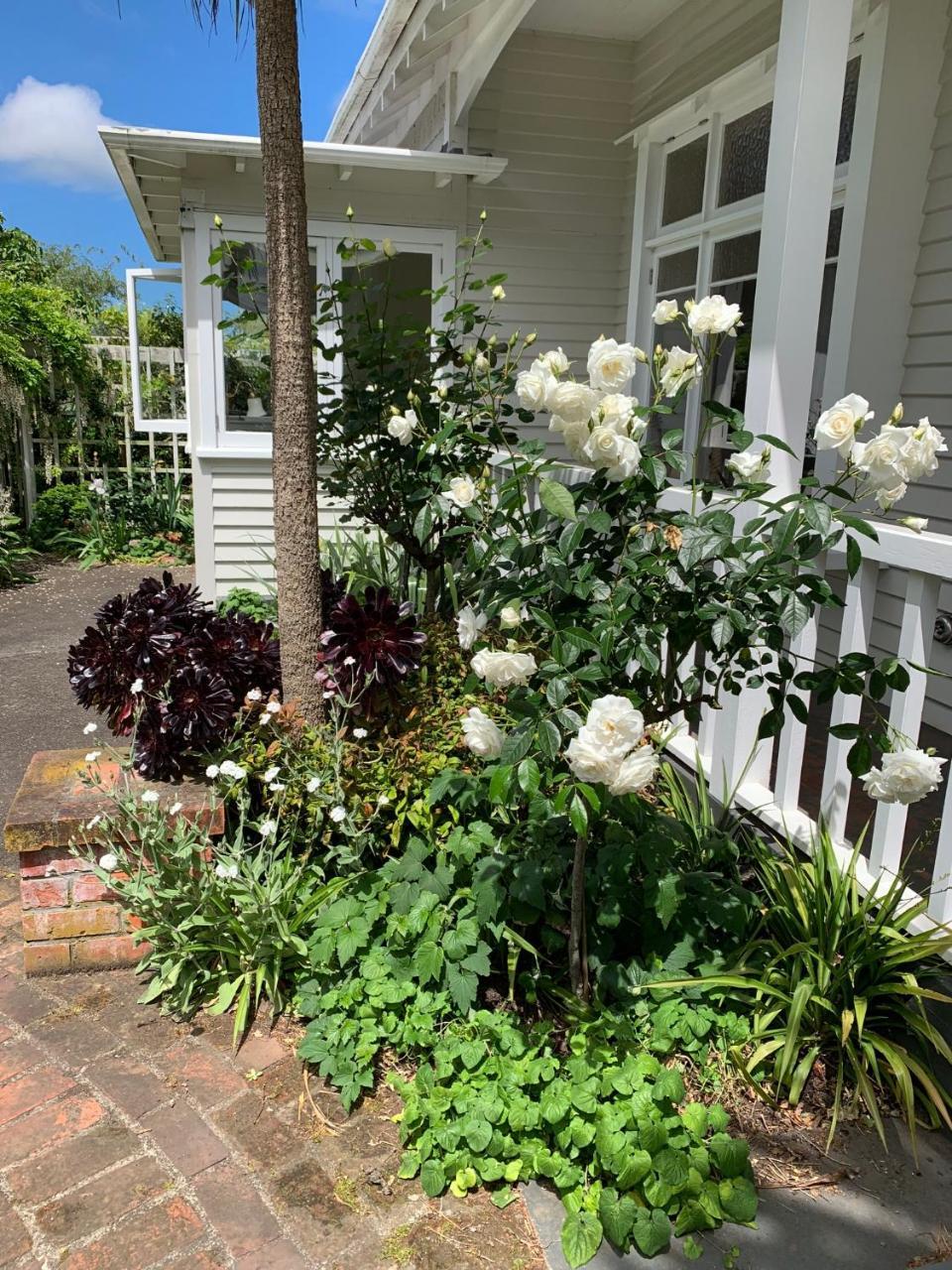 Browns Boutique Bed And Breakfast Whanganui Esterno foto